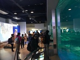 水族館① (3).jpg