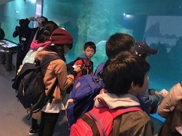 水族館① (5).jpg