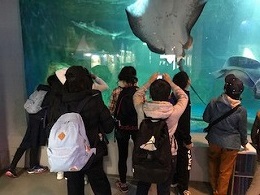 水族館① (7).jpg