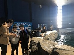 水族館① (8).jpg