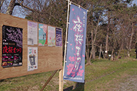 IMGP0003.JPG