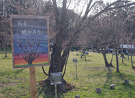 IMGP0018.JPG