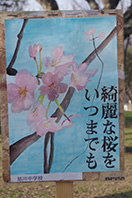 IMGP0020.JPG