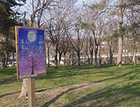IMGP0022.JPG
