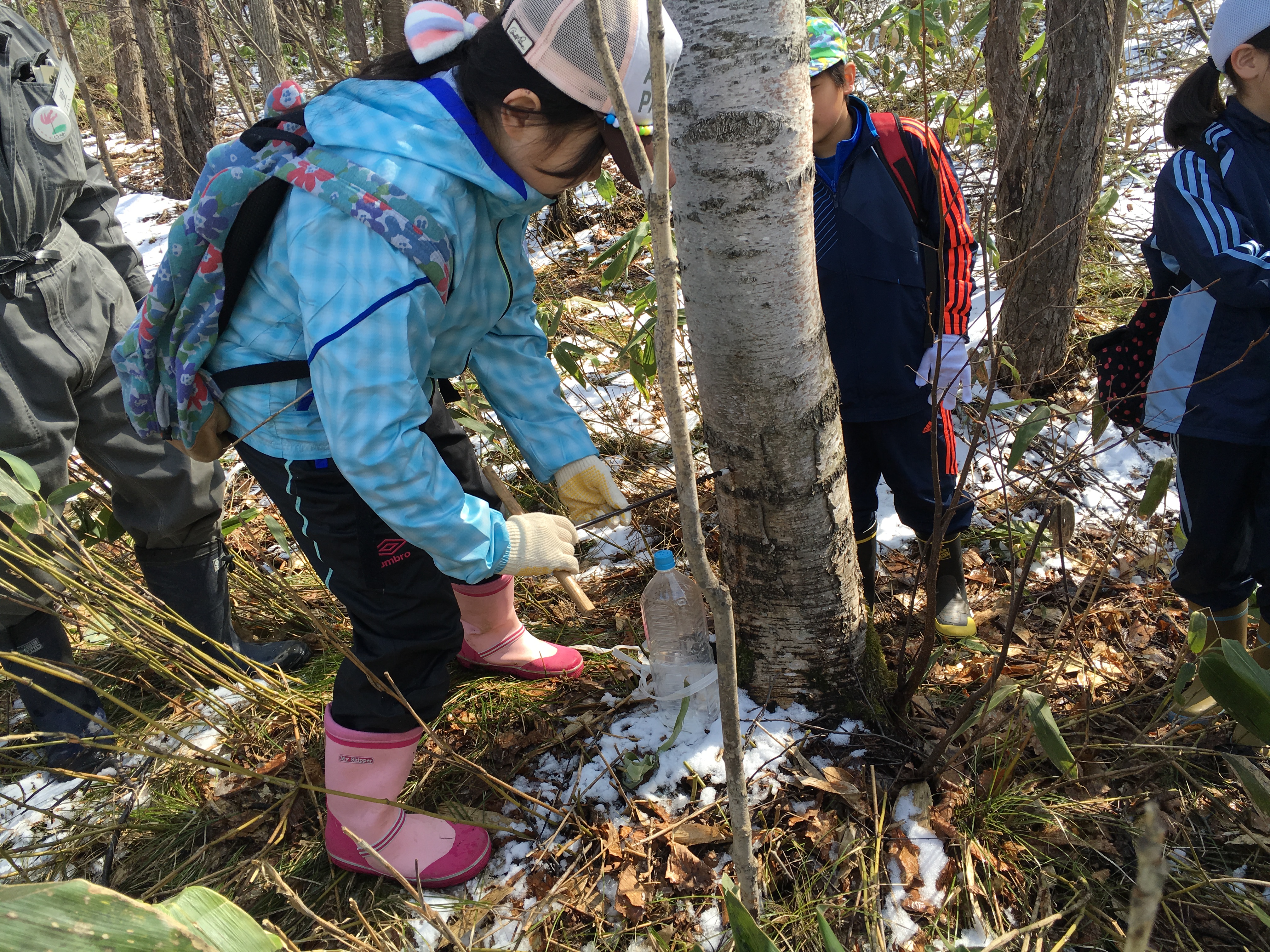 http://www.asahikawa-hkd.ed.jp/chikabumidaini-els/C1.JPG