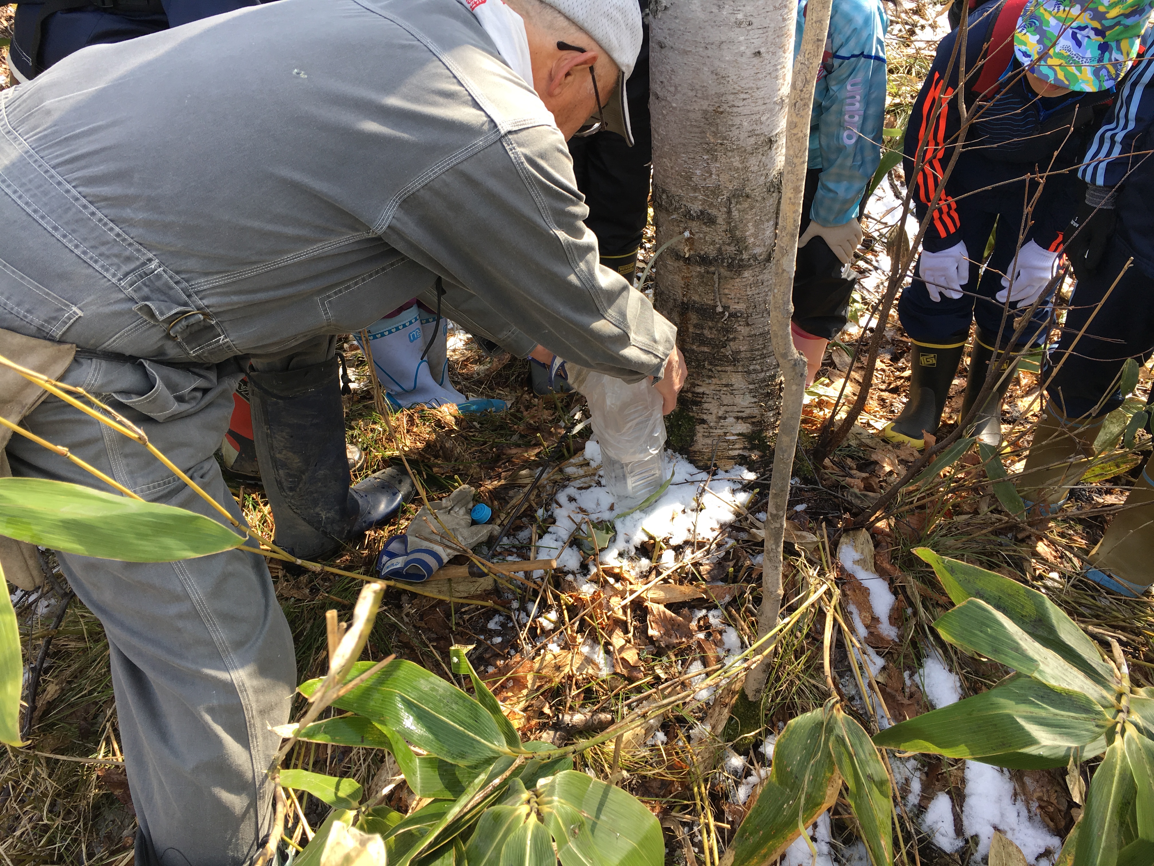 http://www.asahikawa-hkd.ed.jp/chikabumidaini-els/C2.JPG