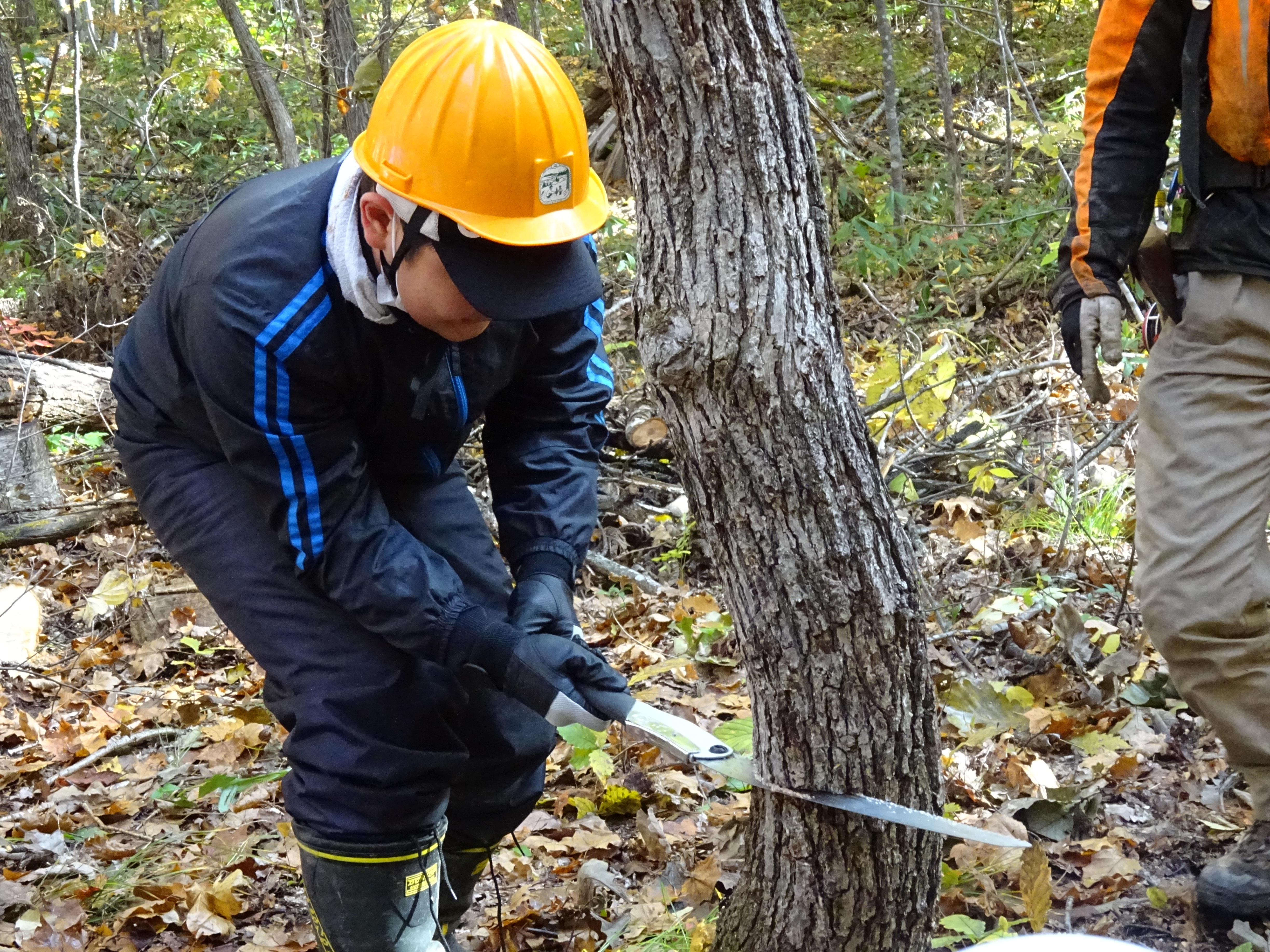 http://www.asahikawa-hkd.ed.jp/chikabumidaini-els/H28.10.19A.JPG