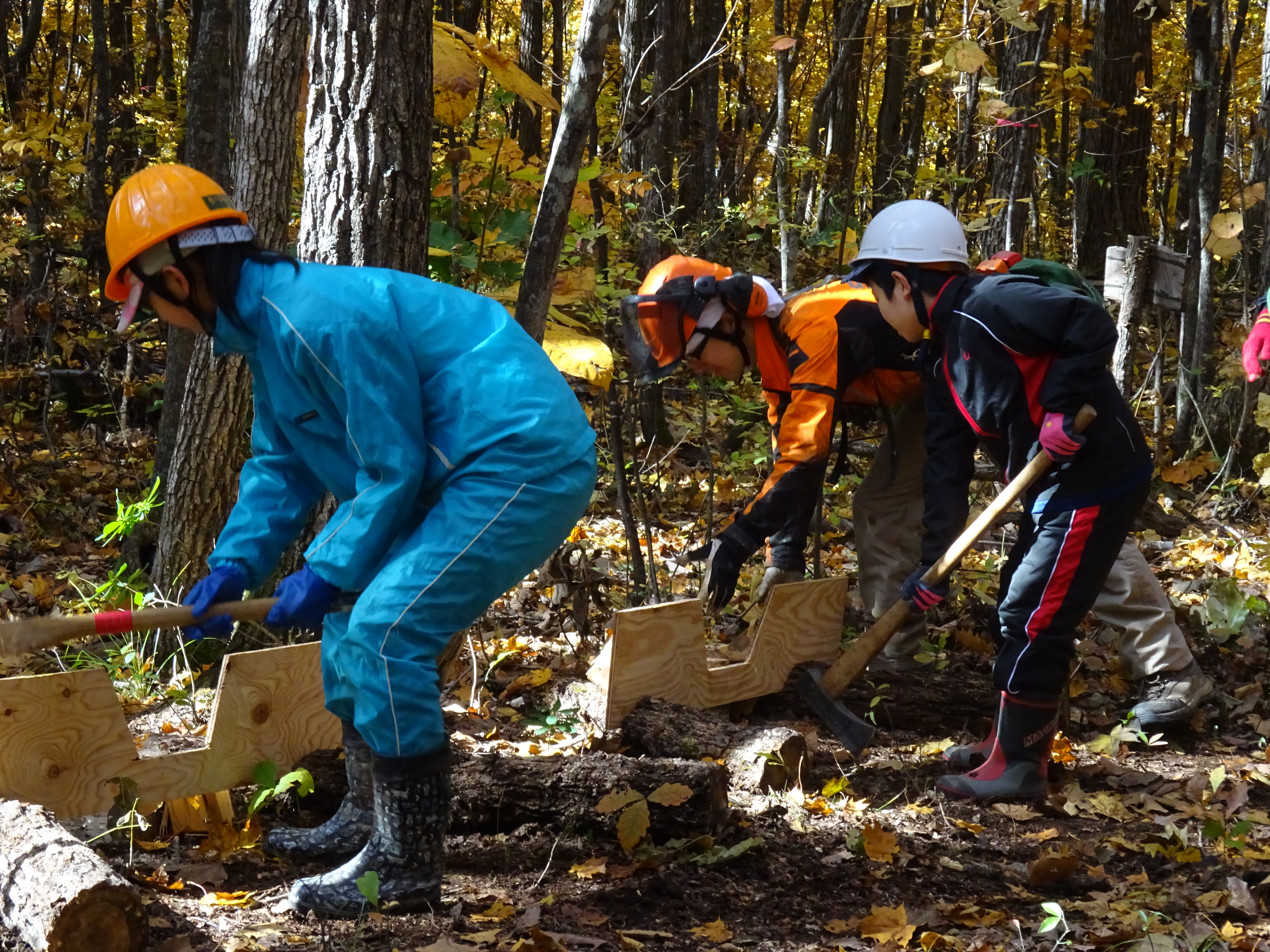 http://www.asahikawa-hkd.ed.jp/chikabumidaini-els/H28.10.19B.JPG