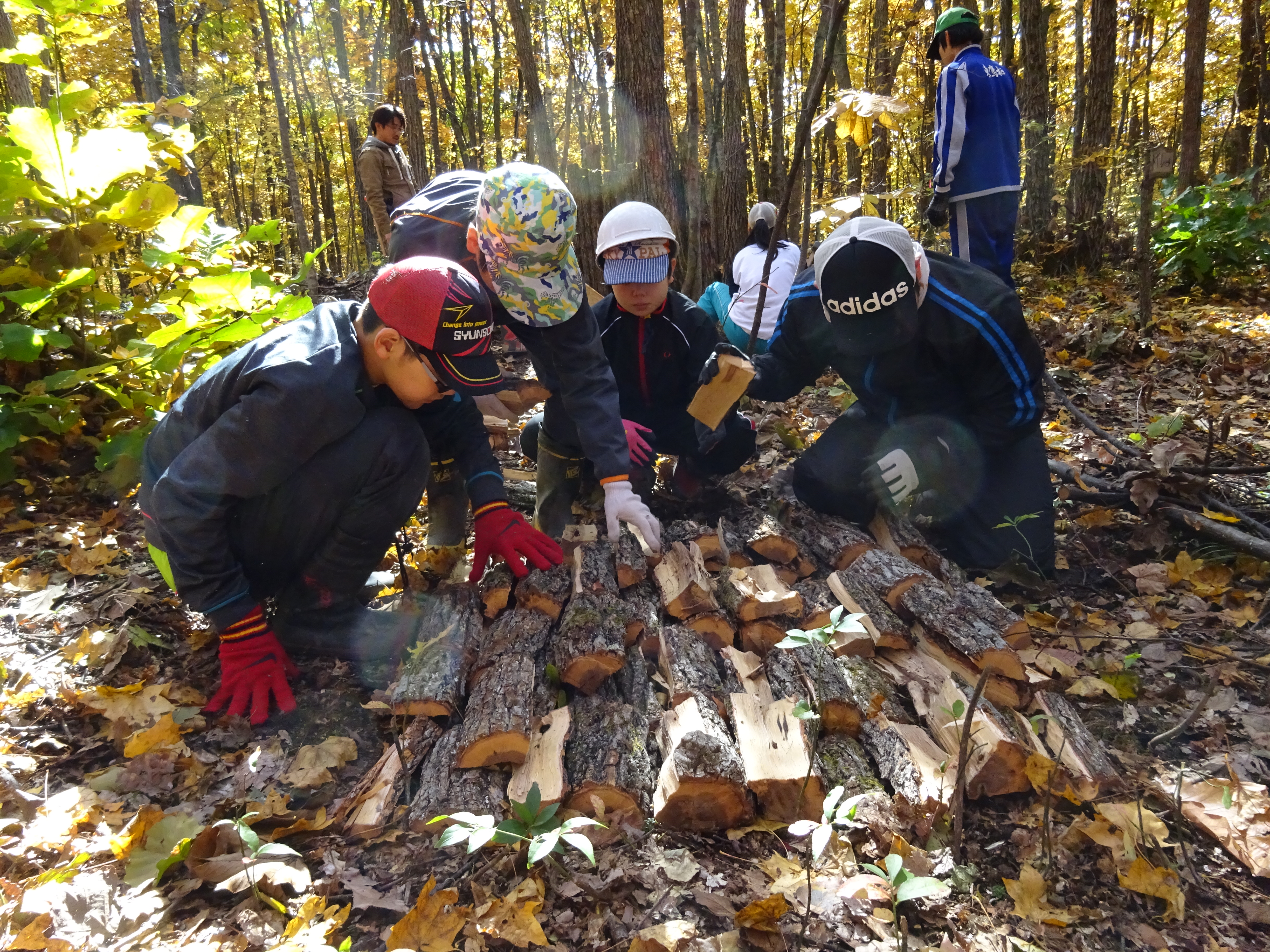 http://www.asahikawa-hkd.ed.jp/chikabumidaini-els/H28.10.19C.JPG