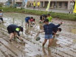 田植え４.jpg