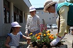 花の苗植え４