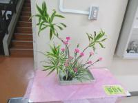 6月25日撮影.JPG