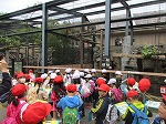 IMG_8672.jpg