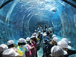 IMG_8684.jpg