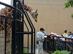 IMG_8691.jpg