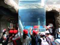 旭山動物園２年生.JPG