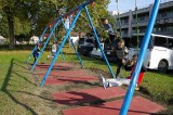 s-IMGP2412.jpg