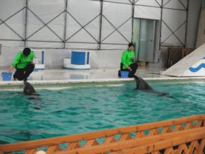 水族館１.JPG