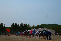 6年生 綱引き.JPG
