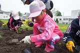 DSC01167.jpg