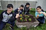 DSC01225.jpg