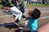 DSC01244.jpg