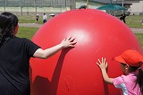 DSC01407.jpg