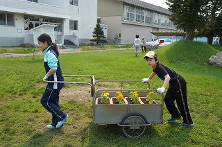 DSC01524.jpg