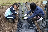 DSC01999.jpg
