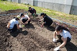 DSC02026.jpg