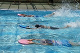 DSC03767.jpg