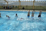 DSC03837.jpg