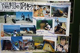 DSC03904.jpg