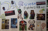 DSC03911.jpg