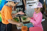 DSC04042.jpg