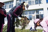 DSC04056.jpg
