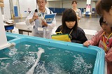 DSC04063.jpg