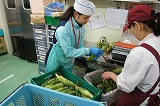 DSC04401.jpg