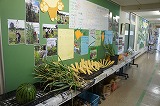 DSC04716.jpg