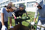 DSC05199.jpg