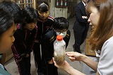 DSC06128.jpg