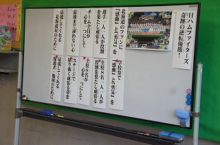 DSC06187.jpg