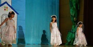 DSC06570.jpg