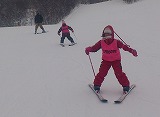 DSC_20231.jpg