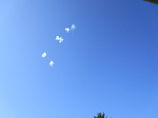 IMG_0033.jpg