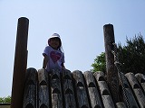 IMG_0231.jpg