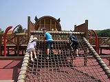 IMG_0250.jpg