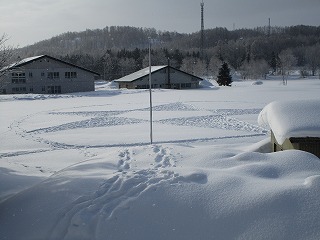 IMG_0511.jpg