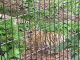 IMG_0645.jpg