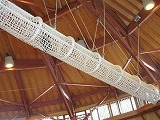 IMG_0821.jpg